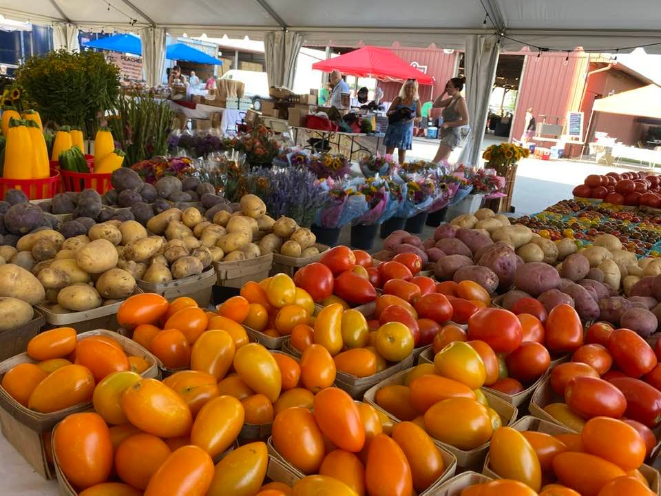 Farmers Market Burlington County Agricultural Center