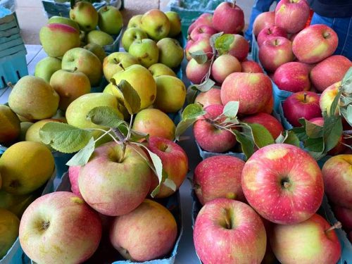 Spiced Apples for Canning