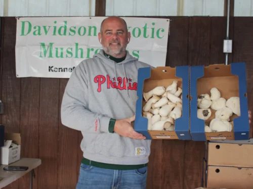 Davidson Exotic Mushrooms