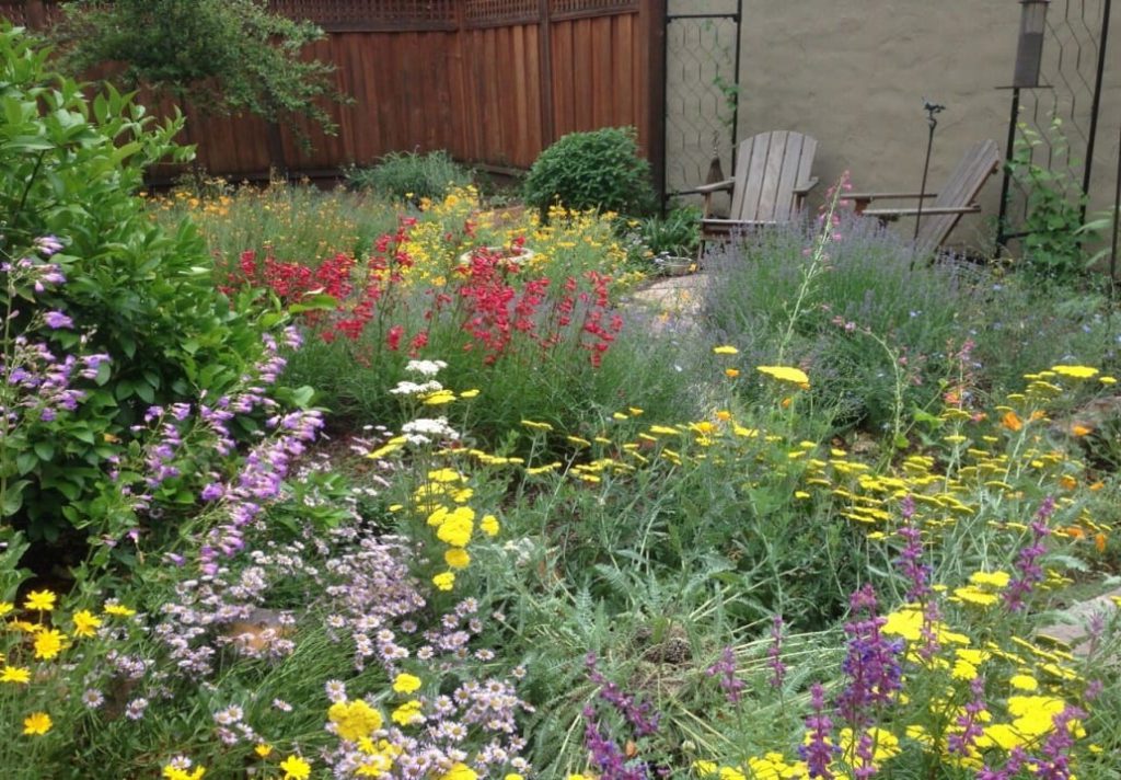 Backyard Biodiversity: Building a Stronger Garden - Burlington County ...