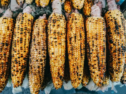 Mexican Elote Corn Salad