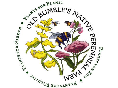 Old Bumble’s Native Perennial Farm