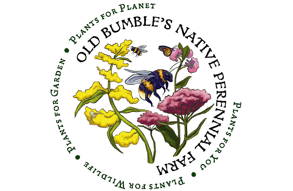 Old Bumble’s Native Perennial Farm