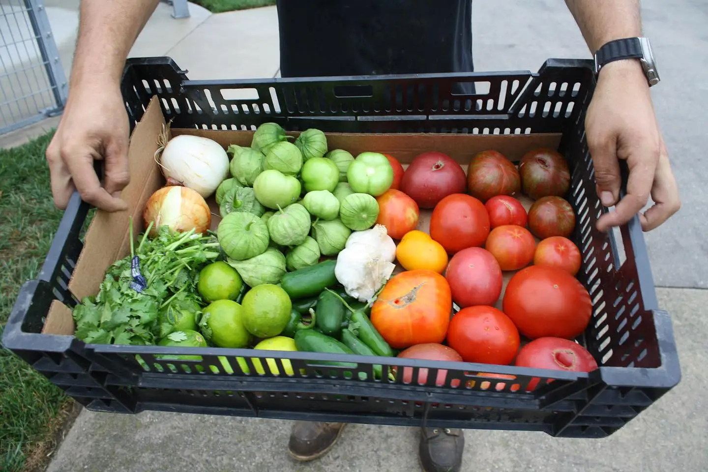 crate of farm fresh vegetables