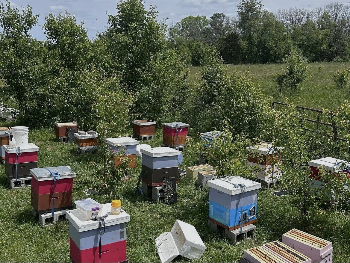 Mill Creek Apiary