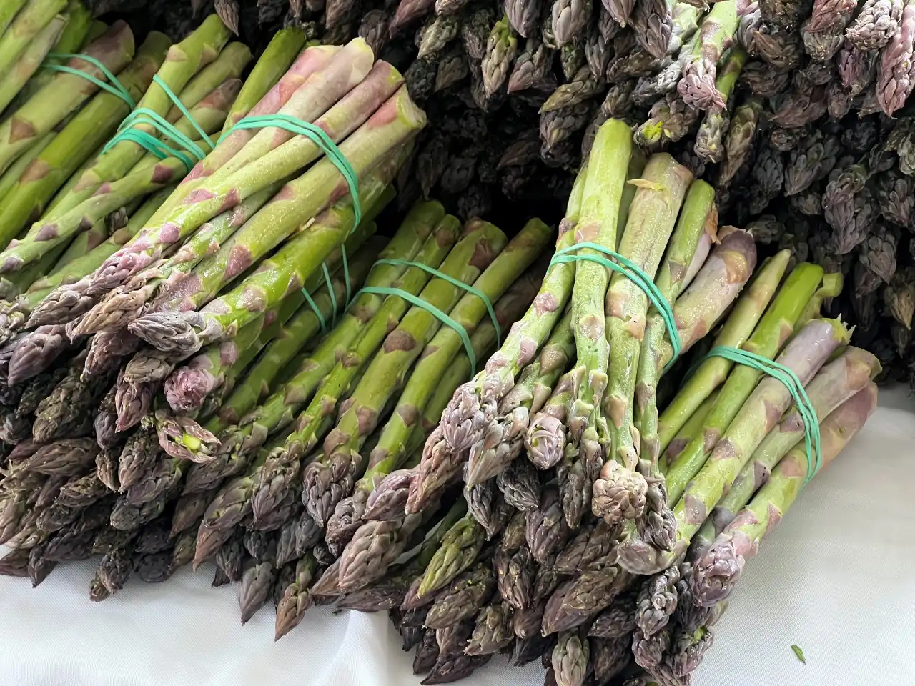 asparagus bunches