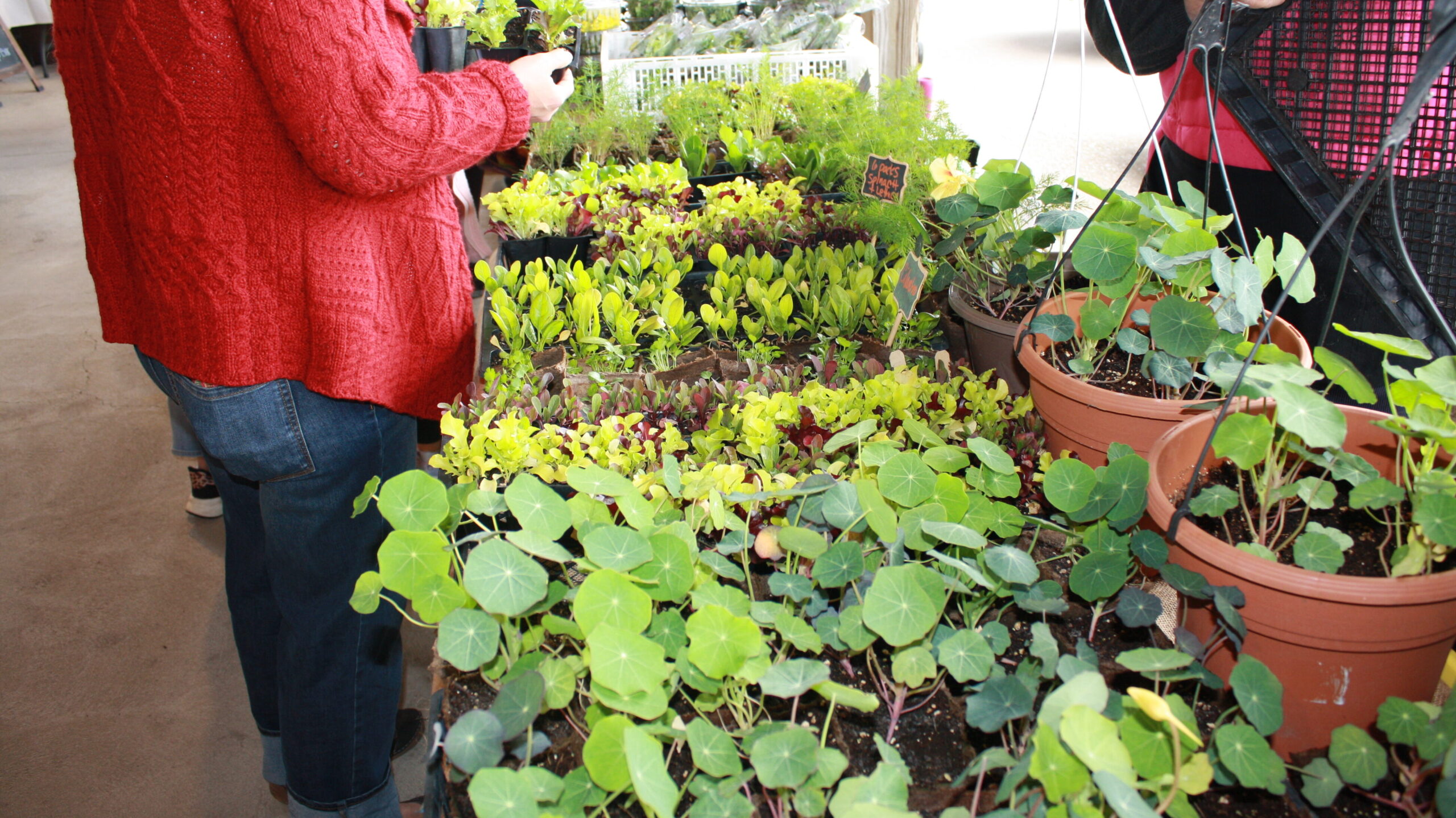 PInelands Produce