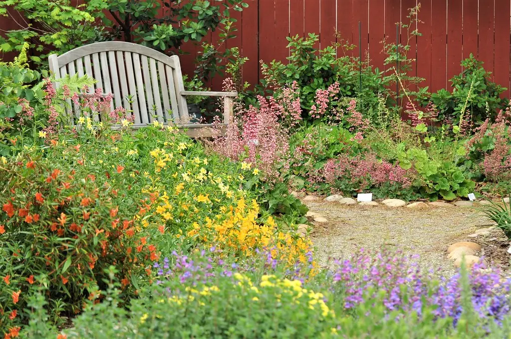 flowering plants surround a bench